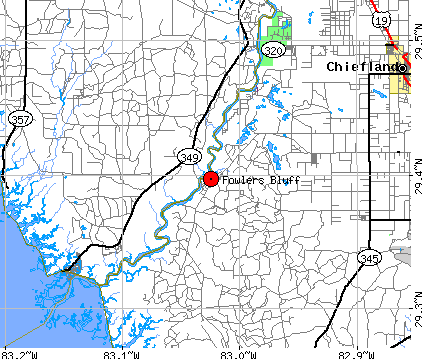 mapFowlers Blufftwn.bmp (152398 bytes)