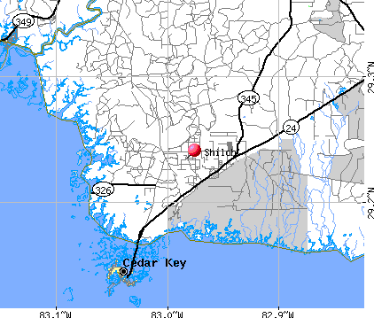 mapShilohcem.bmp (152398 bytes)