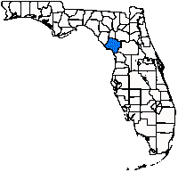 LevyFl.gif (3552 bytes)