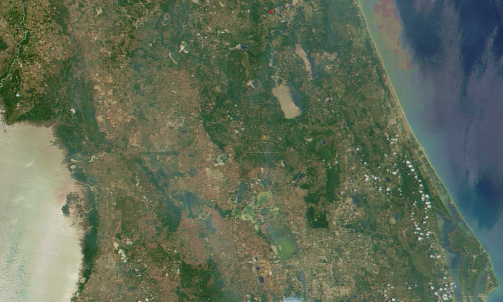 60504.jpg (97137 bytes)